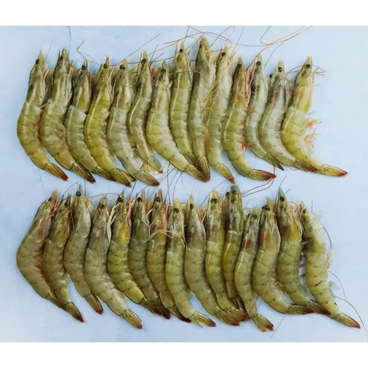 Wonder 20/30 Raw Head-On Shell-On Vannamei IQF Prawn 2kg image 0