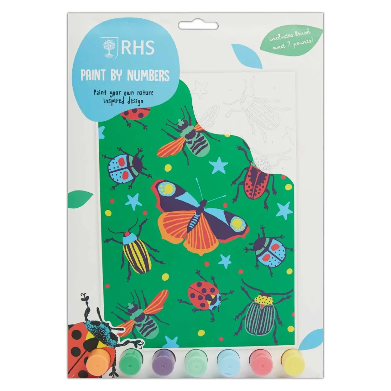 RHS Bugs Paint By Numbers Kit image 0