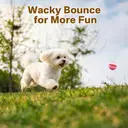 Blinkit Watermelon Ball Chew Toy for Dogs, TPR Durable Bite-Resistant Ball, Interactive Play and Teeth Cleaning Toy image 3