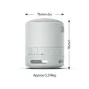 Sony SRS-XB100H Enceinte Bluetooth - Gris image 1
