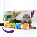 Edgard & Cooper Pack Assortiment de Pâtés sans Céréales pour Chats Adultes - 8*85 g image 4