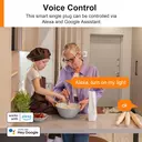 Antela alexa mini wlan-steckdose mit strommessung, kompatibel mit Google Home, Smart Life App, 2,4 GHz, überspannungsschutz, 4 stück image 4