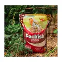 Peckish Robin Insect and Seed Mix 1kg image 3