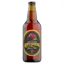 K/BERG Mixed Fruit 500 ml 4% image 0