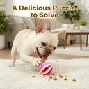 Blinkit Watermelon Ball Chew Toy for Dogs, TPR Durable Bite-Resistant Ball, Interactive Play and Teeth Cleaning Toy image 4