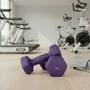 JOYFURNOSLot de 2 haltères, 2 x 2 kg, revêtement en néoprène, Violet image 4