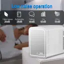 EAFC Portable Mini Car Fridge 6L Mirror Cosmetic Ice Box Heat Preservation Cooling Two-In-One Small Size Energy-conservation Personal Care Appliance image 5