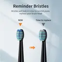 Sunluxy Sonic Electric Toothbrush – 5 Cleaning Modes, 40,000 VPM, 60-Day Battery Life, Rechargeable Travel Electric Toothbrush, Includes 8 Brush Heads, Smart Timer, T5 Black image 3