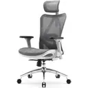 Sihoo M57 chaise de bureau ergonomique en mesh avec soutien lombaire réglable, accoudoirs 3D et dossier haut respirant gris clair image 1