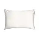Silk Addict 100% Mulberry Silk Pillowcase Ivory image 0