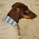 Rosewood x Joules Sandshell Raincoat for Small Dogs image 3