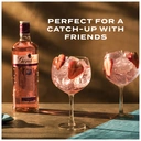 Gordon's Premium Pink Spirit Drink 1L image 2