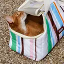 ZEZE Striped Pet Carrier Bag, Portable Travel Carrier for Cats Dogs (Beige) image 1