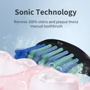 Sunluxy Sonic Electric Toothbrush – 5 Cleaning Modes, 40,000 VPM, 60-Day Battery Life, Rechargeable Travel Electric Toothbrush, Includes 8 Brush Heads, Smart Timer, T5 Black image 8