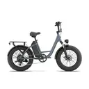 URLIFE E20 PRO Electric Bicycle For Adults 1500W Motor 48V 15.6AH Battery 20" Fat Tire All-Terrain E-Mountain bike URLIFE E20 image 3