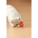 PETGRAVITY Balle Snack Shack - Orange image 2