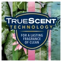 Glade Automatic Spray Air Freshener Refill Relaxing Zen 269ml image 9