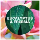 Air Wick Eucalyptus & Freesia 24/7 Autospray Refill 228ml image 2