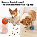 PETGRAVITY Balle Snack Shack - Orange image 5