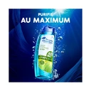 HEAD & SHOULDERS - Shampoing Régulateur Anti-pelliculaire Pure Intense - 250ml image 2