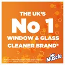 Mr Muscle Window & Glass Professional Spray, 750ml image 2