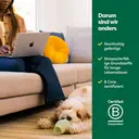 Earth Rated Jouet à mâcher en caoutchouc 13 x 8,5 cm image 4