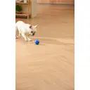 PETGRAVITY Balle Snack Shack - Bleu image 3