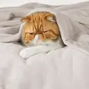 Bedsure Flannel Blanket - Solid Natural, 150x200cm, 1 Piece, 100% Polyester image 1