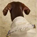 Rosewood x Joules Sandshell Raincoat for Small Dogs image 2