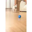 PETGRAVITY Balle Snack Shack - Bleu image 5