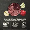 ACANA SINGLES Aliment pour chien recette à l'agneau - 11,4 kg image 5