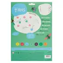 RHS Bugs Paint By Numbers Kit image 1