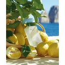 Dolce&Gabbana Light Blue für Damen Eau de Toilette Spray 50 ml image 4
