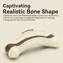 Blinkit Curved Bone Chew Toy for Dogs, Cowhide and Nylon Strong Bite Toy for Teeth Cleaning (16×6×4cm) image 6