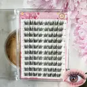 MeoMagic Extensions de cils pré-collées (pinceaux à cils non inclus) - 10 lignes - 120 pièces - F60 image 0