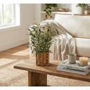 Candlelight Artificial Olive Tree in Wicker Basket 44.5cm image 2