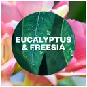 Air Wick Active Fresh Room Spray, Eucalyptus & Freesia, 236ml image 1