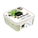 Erhard Crème glacée menthe chocolat - 450 g image 0