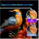 Tees TTQ55UQ1CS 55" 4K QLED Smart TV – Powered by Tizen OS image 3