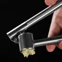 BJ Presse-Ail en Acier Inoxydable 304 image 6