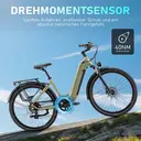 Marathon 28" E-Bike Citybike - Bafang Mittelmotor, 36V 22.5Ah (810Wh) Akku, bis 160km, Hydr. Scheibenbremsen, 7-Gang, Damen & image 3