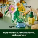 LEGO Botanicals 10349 Happy Plants image 8