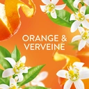 LENOR Adoucissant liquide orange & verveine - 42 lavages/882 ml image 3