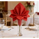 Unique Party Lunch Napkins, Red, 20 Pack image 2