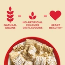 Kellogg's Frosted Wheats 500g image 3