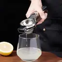 BJ Presse-Citron en Acier Inoxydable image 4