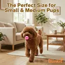 Blinkit Watermelon Ball Chew Toy for Dogs, TPR Durable Bite-Resistant Ball, Interactive Play and Teeth Cleaning Toy image 1