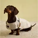 Rosewood x Joules Sandshell Raincoat for Small Dogs image 1