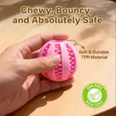 Blinkit Watermelon Ball Chew Toy for Dogs, TPR Durable Bite-Resistant Ball, Interactive Play and Teeth Cleaning Toy image 5