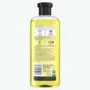 Herbal Essences Chamomile Smooth & Shine Shampoo 350ml image 1
